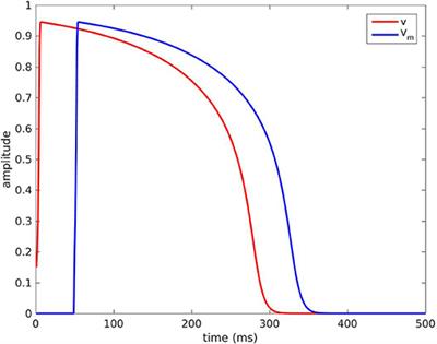 Impact of the Endocardium in a Parameter Optimization to Solve the Inverse Problem of Electrocardiography